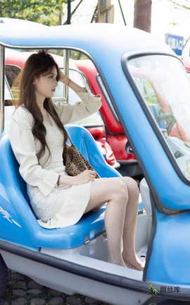 ����ӡ�� NO.010 ����