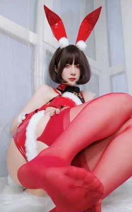 81-Christmas Bunny_˿