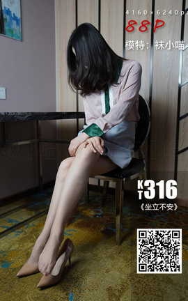 СKittyWawa KT316 